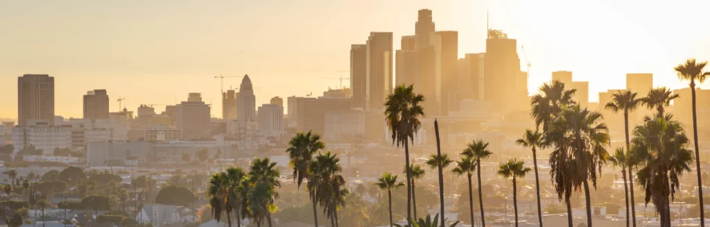 Chauffeur greeting passenger at LAX for luxury airport transfer